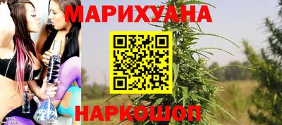сатива Будённовск
