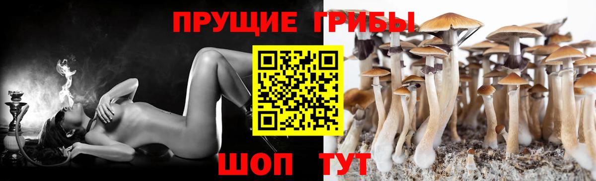 Псилоцибиновые грибы Magic Shrooms  Вход с VPN  Краснотурьинск  Галлюциногенные грибы GOLDEN TEACHER 